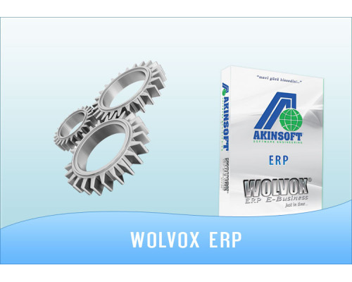 AKINSOFT Wolvox ERP 7.21.02